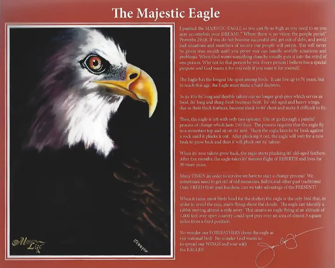 The Majestic Eagle
